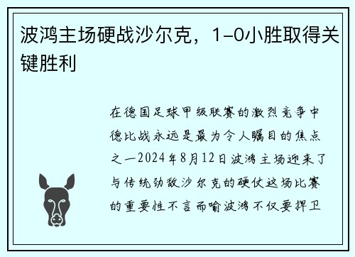 波鸿主场硬战沙尔克，1-0小胜取得关键胜利